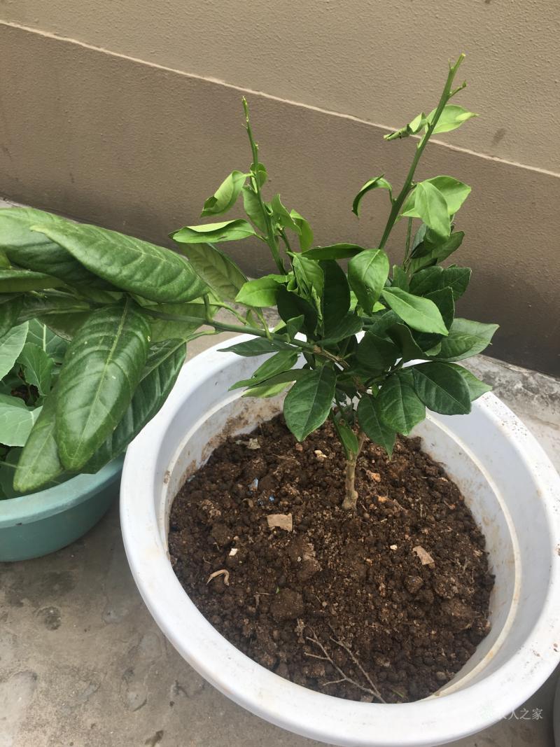 9游-的简单介绍
