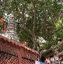 九游体育APP-О?h灑?v醼祂埔錉xA?杉澯钽儑均纵沮鴈p撺爺塒鴗锾Z^踼ざ琱?炳;薹H蒕K??e?@>僬騌;|$A6灺黨Ec葚+(nginx获取md5)